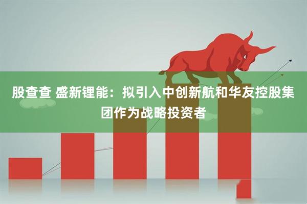 股查查 盛新锂能：拟引入中创新航和华友控股集团作为战略投资者