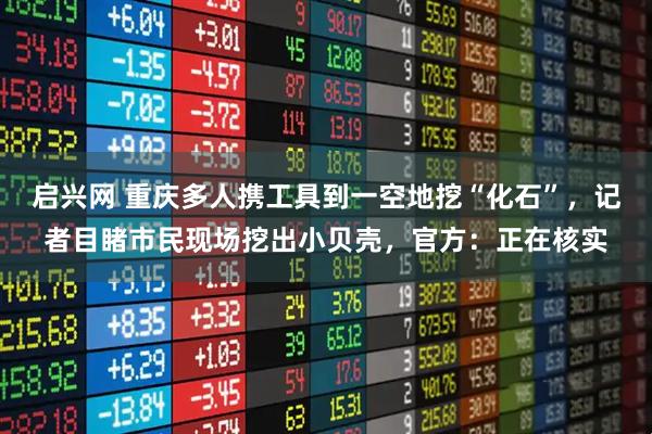 启兴网 重庆多人携工具到一空地挖“化石”，记者目睹市民现场挖出小贝壳，官方：正在核实