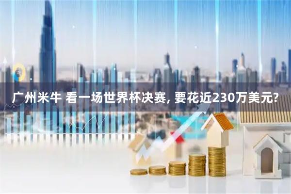 广州米牛 看一场世界杯决赛, 要花近230万美元?